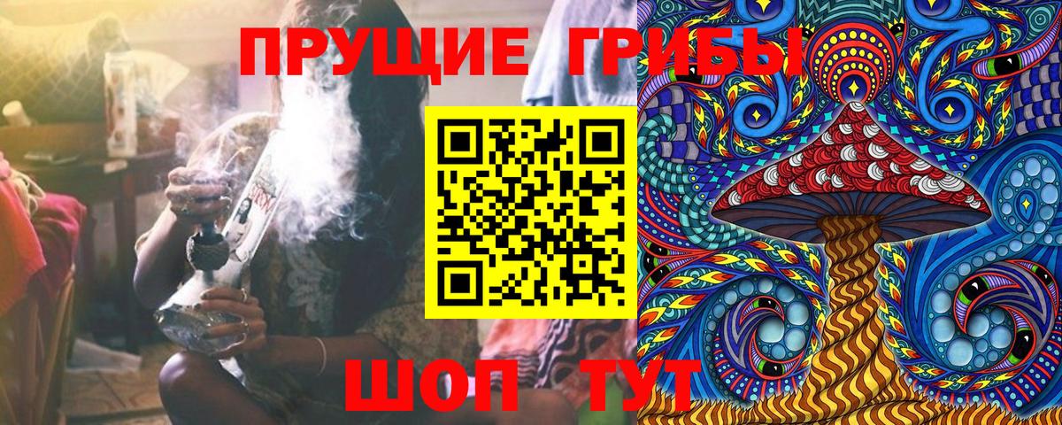 Псилоцибиновые грибы Psilocybine cubensis  Вход с VPN  Когалым 